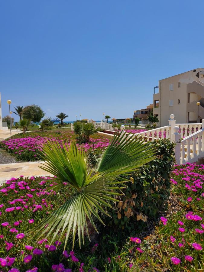 Duplex Espectacular En Primera Linea Naturista! Las Bombardas Bagian luar foto